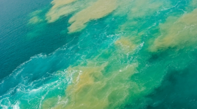 El derrame de petróleo en el Golfo de México ahora excede los 672,000 galones 1
